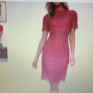 lulus remarkable lace dress fuschia